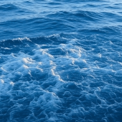 Autumn in Japan 2022 BLUE Front Cover