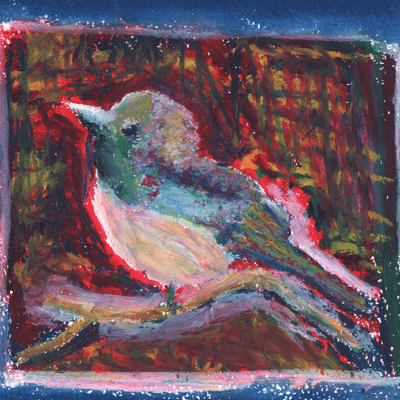 true bird Front Cover