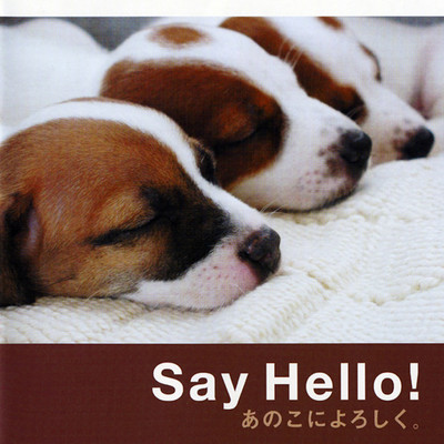 Say Hello! anokoni-yoroshiku. (ORIGINAL SOUNDTRACK) Front Cover