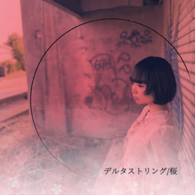 桜のジャケット写真