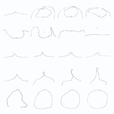 Pensees Front Cover