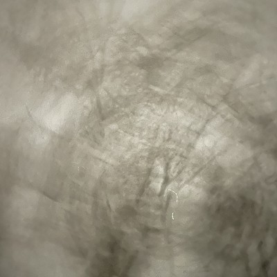 Blancのジャケット写真