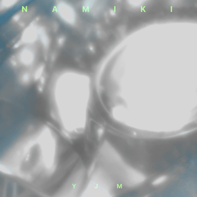 NAMIKIのジャケット写真