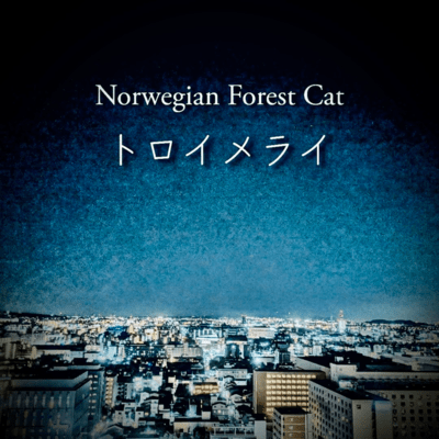 Traumerei Front Cover