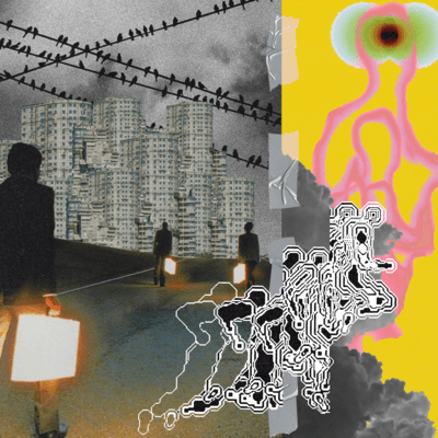 The Light Front Cover