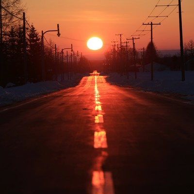 From the distant road Front Cover