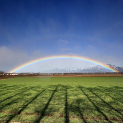 A rainbow appeared Front Cover
