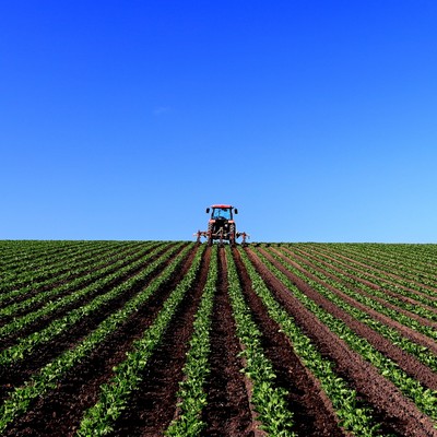 Toward that sky Front Cover