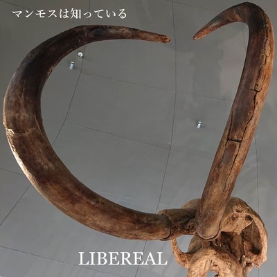 マンモスは知っているのジャケット写真