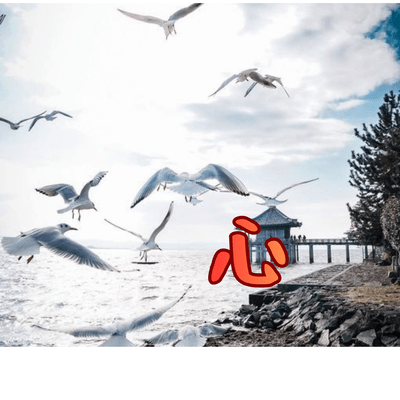 KOKORO (KOKORO) Front Cover