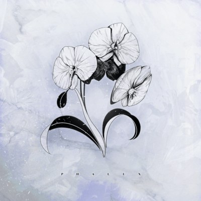 PHALUX Front Cover