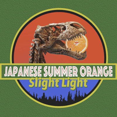 Slight Light Front Cover