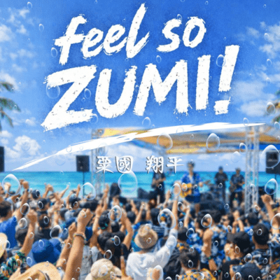 feel so ZUMI! Front Cover