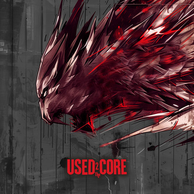 USED2TheCORE BLACK Front Cover