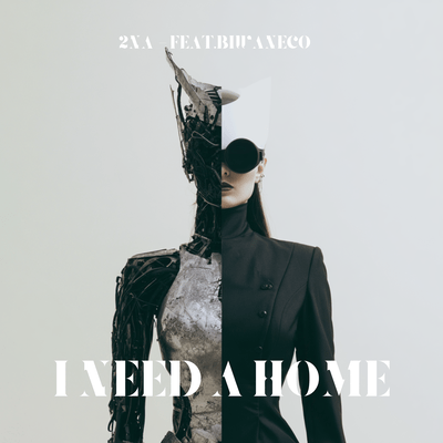 I need a home (feat. BIWANECO) Front Cover