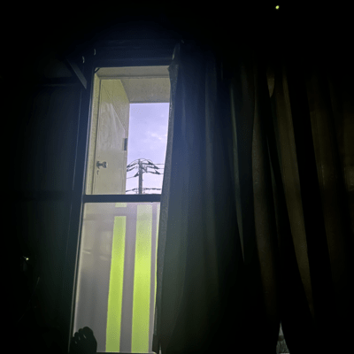 That's the reason we can't die Front Cover