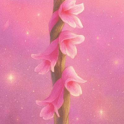 愛のフリルのジャケット写真