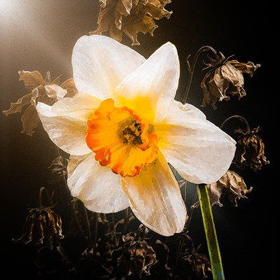 gardenのジャケット写真