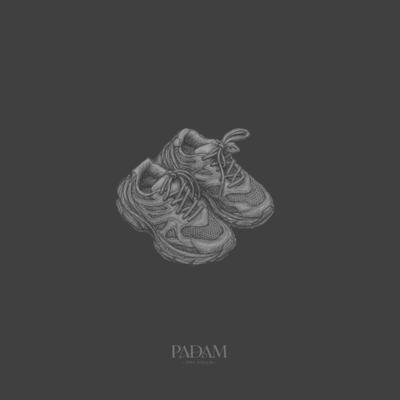 Run like the wolf Front Cover