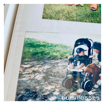 on no sleep Front Cover