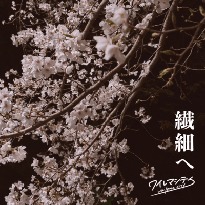 sensaihe Front Cover