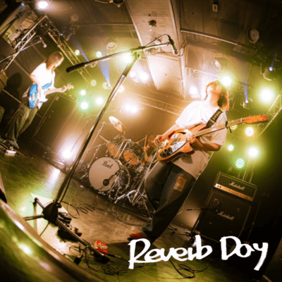 Reverb Dayのジャケット写真