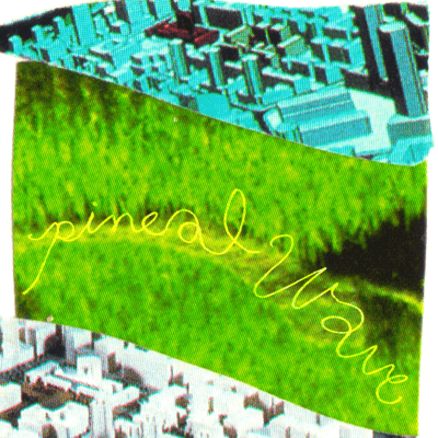 Pineal Wave Front Cover