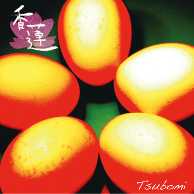 TSUBOMI Front Cover