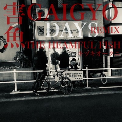 DAYS (害魚Reimix)のジャケット写真