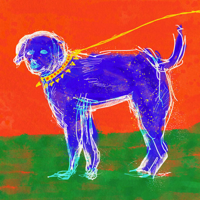 よだれ犬のジャケット写真