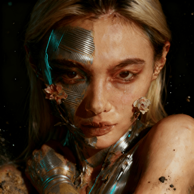 TOXIC AND BLOOM Front Cover