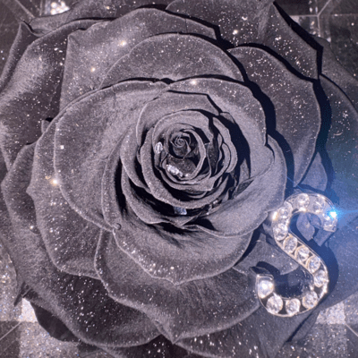 BIGLOVE Front Cover