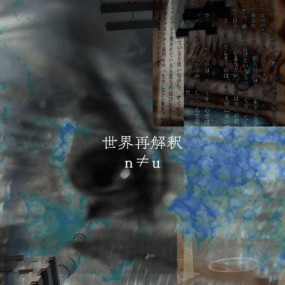 Reinterpreting the World Front Cover