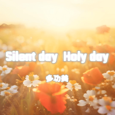 Silent day Holy day Front Cover