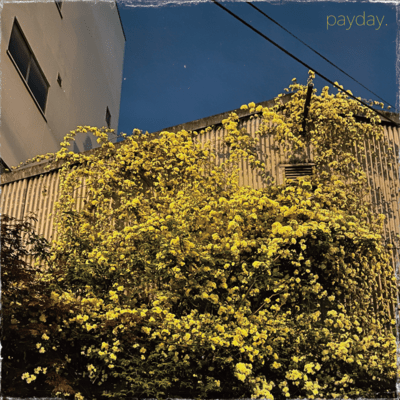 paydayのジャケット写真