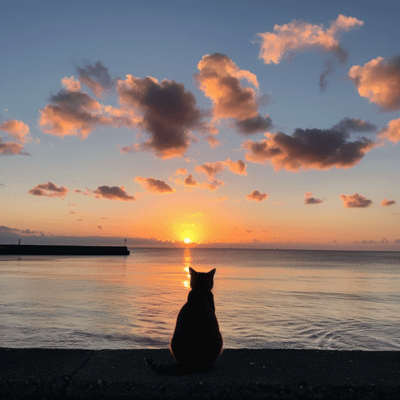 Morning at the Seaside Front Cover