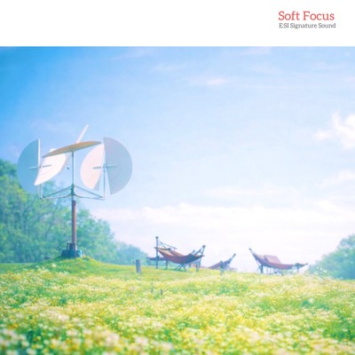 Soft Focus Front Cover