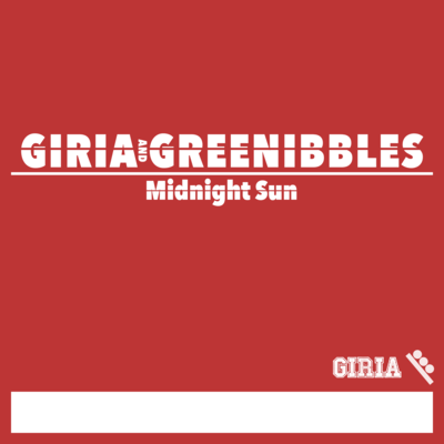 Midnight Sun Front Cover