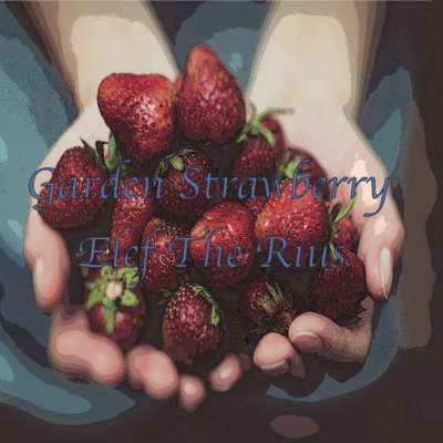 Garden Strawberry Front Cover