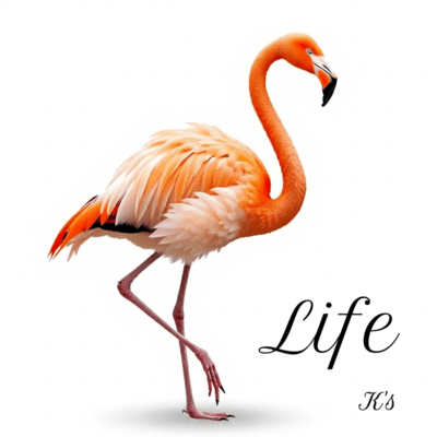 Life Front Cover