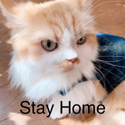 Stay Home Front Cover