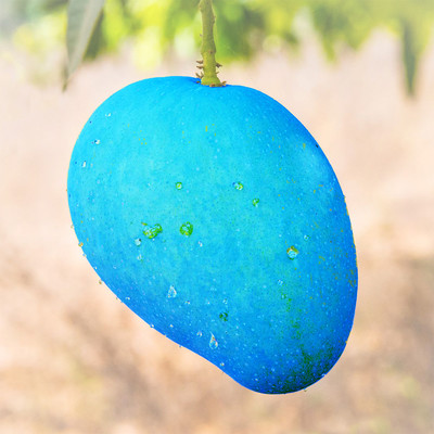 Blue Fruit (feat. HATSUNE MIKU) Front Cover