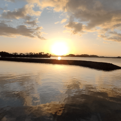 new world Front Cover