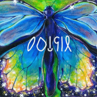 Amateur angel (Live at chikamichi, Tokyo, 2025) Front Cover