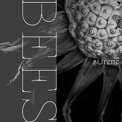 BEES Front Cover