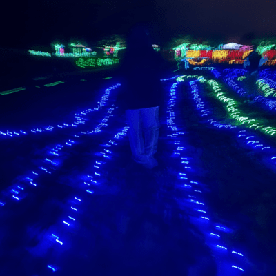 First Love Front Cover