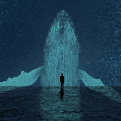 Gray cocoon Front Cover