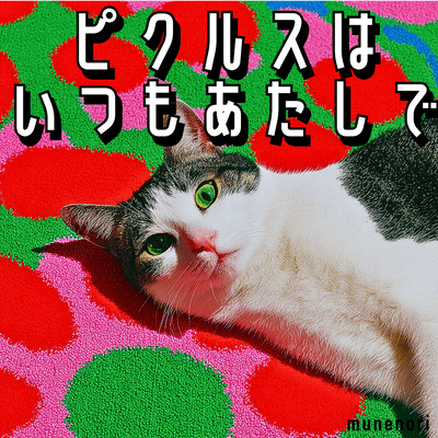 ピクルスはいつもあたしでのジャケット写真