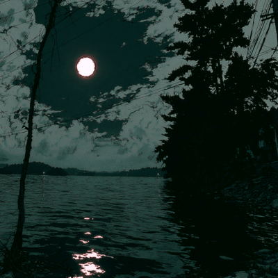 The Moon in the Aquarium Front Cover