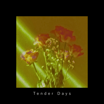 Tender Days Front Cover